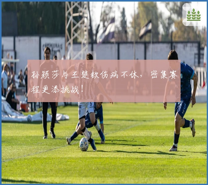 孙颖莎与王楚钦伤病不休，密集赛程更添挑战！