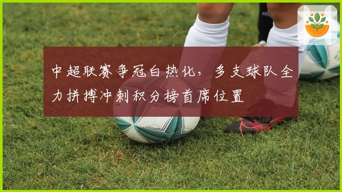 中超联赛争冠白热化,多支球队全力拼搏冲刺积分榜首席位置