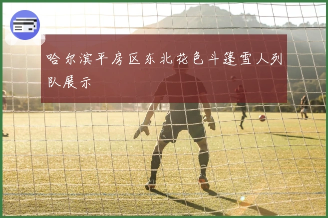 哈尔滨平房区东北花色斗篷雪人列队展示