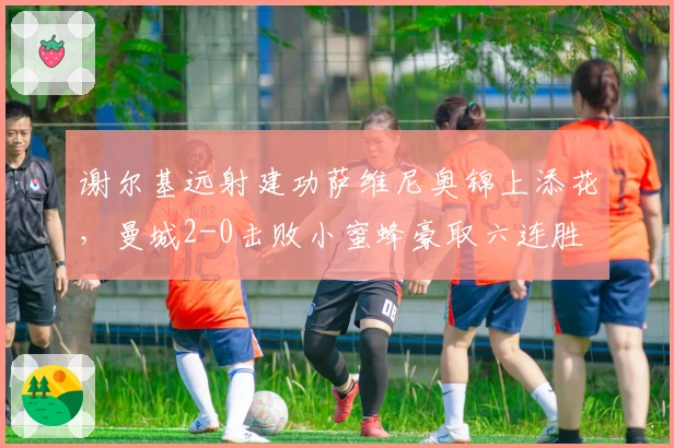 谢尔基远射建功萨维尼奥锦上添花，曼城2-0击败小蜜蜂豪取六连胜