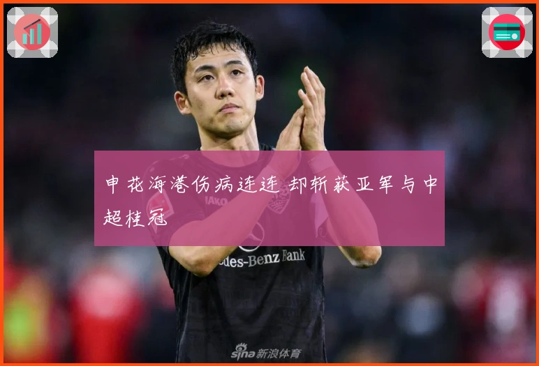 申花海港伤病连连 却斩获亚军与中超桂冠