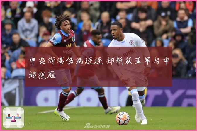 申花海港伤病连连 却斩获亚军与中超桂冠