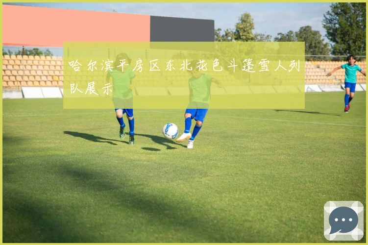 哈尔滨平房区东北花色斗篷雪人列队展示